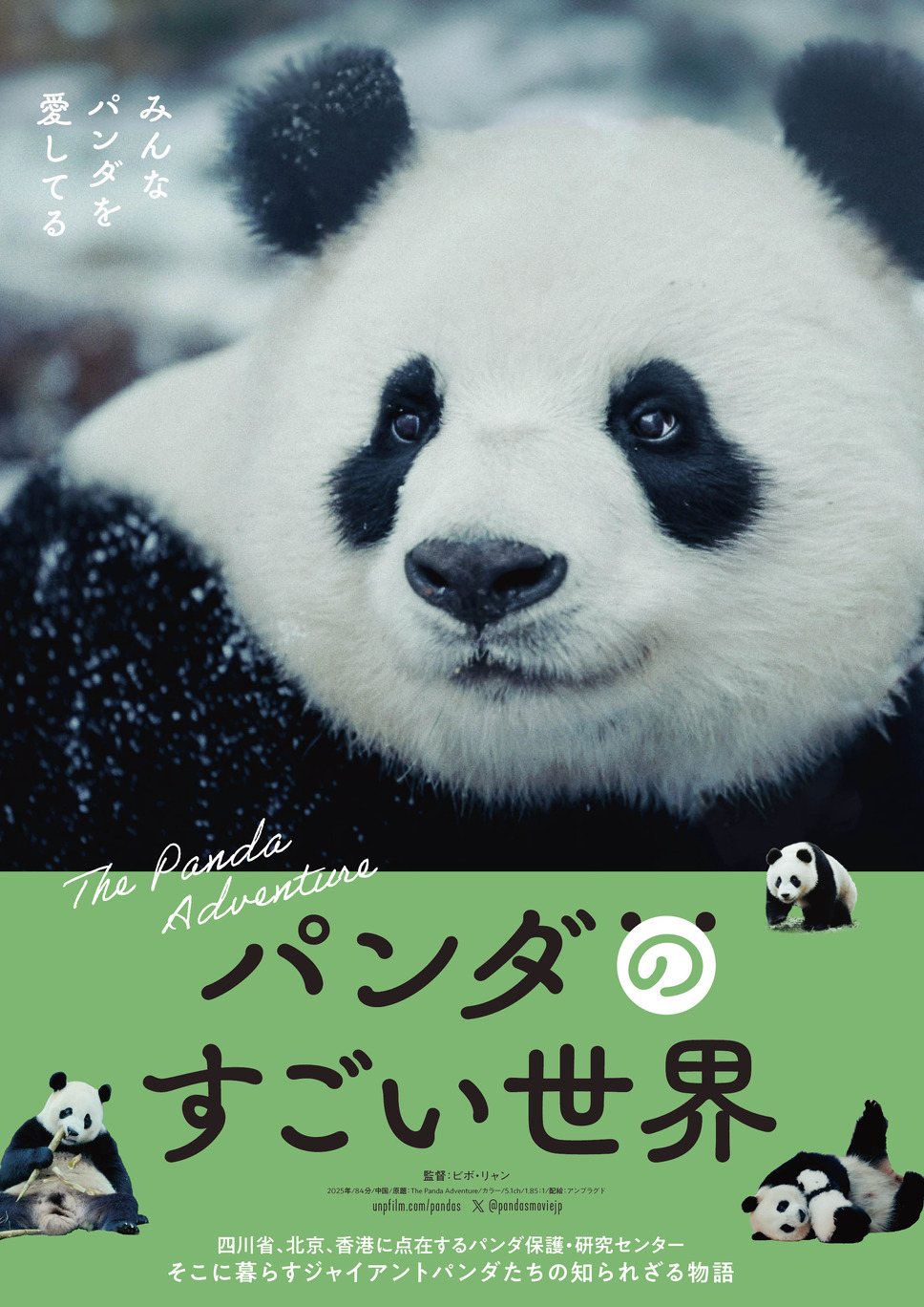 パンダのすごい世界 1枚目の写真・画像