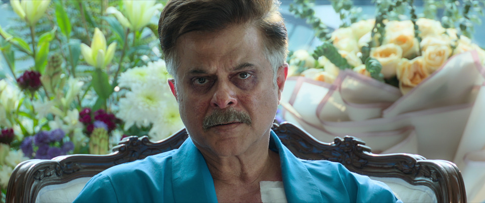 ANIMAL 8枚目の写真・画像