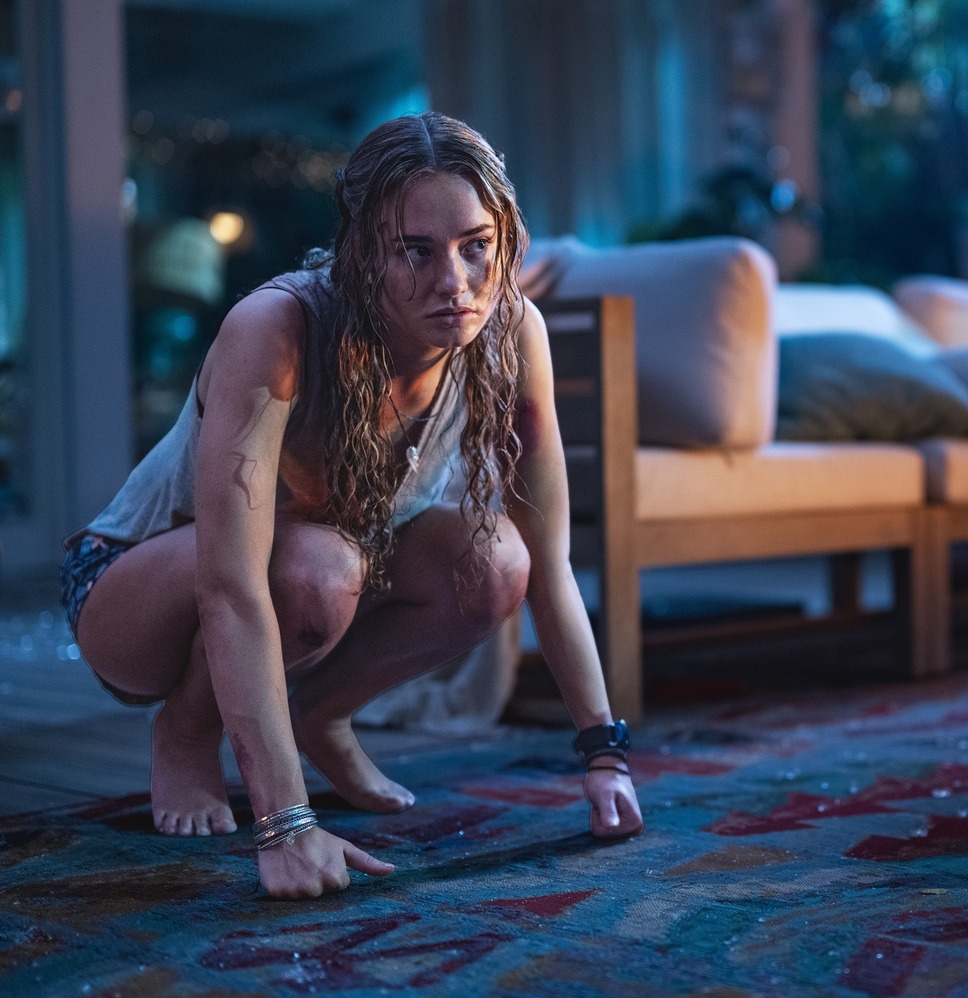 おさるのベン 2枚目の写真・画像