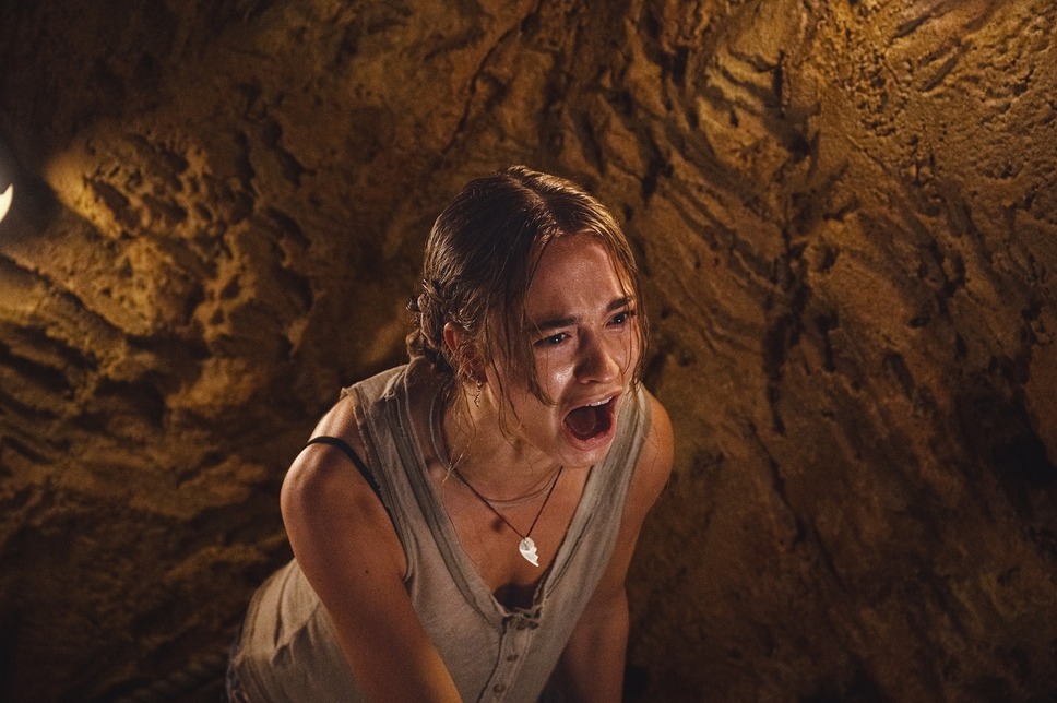 おさるのベン 4枚目の写真・画像