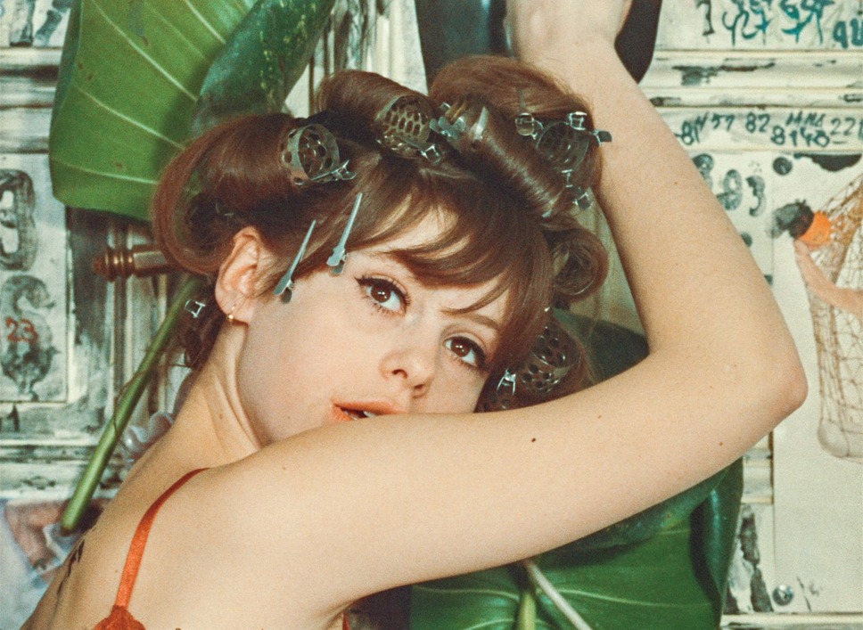 ひなぎく 4Kレストア版 13枚目の写真・画像