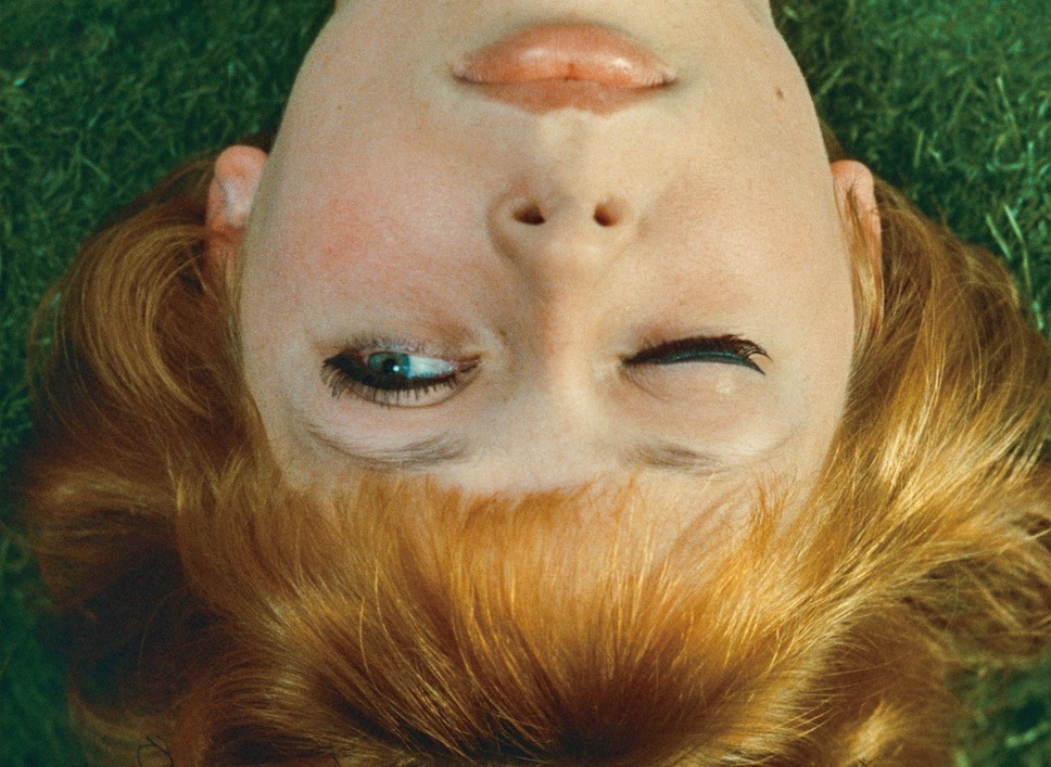 ひなぎく 4Kレストア版 16枚目の写真・画像