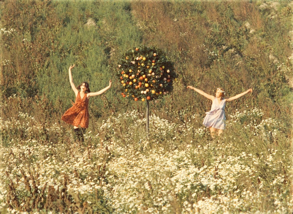 ひなぎく 4Kレストア版 19枚目の写真・画像