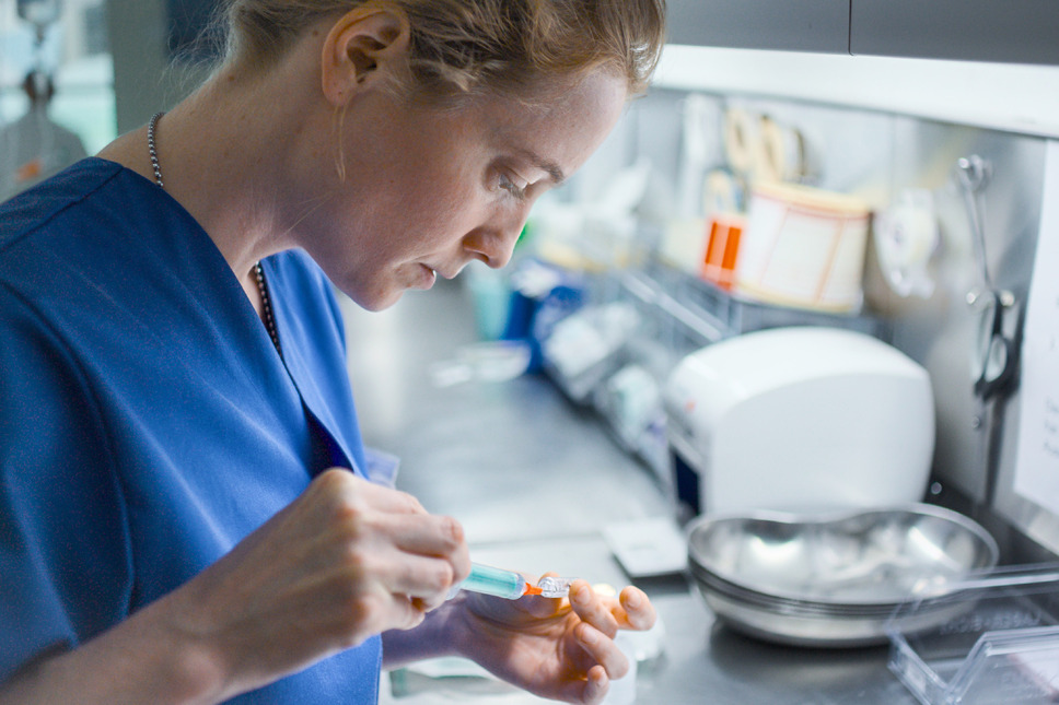 ナースコール（2026） 7枚目の写真・画像