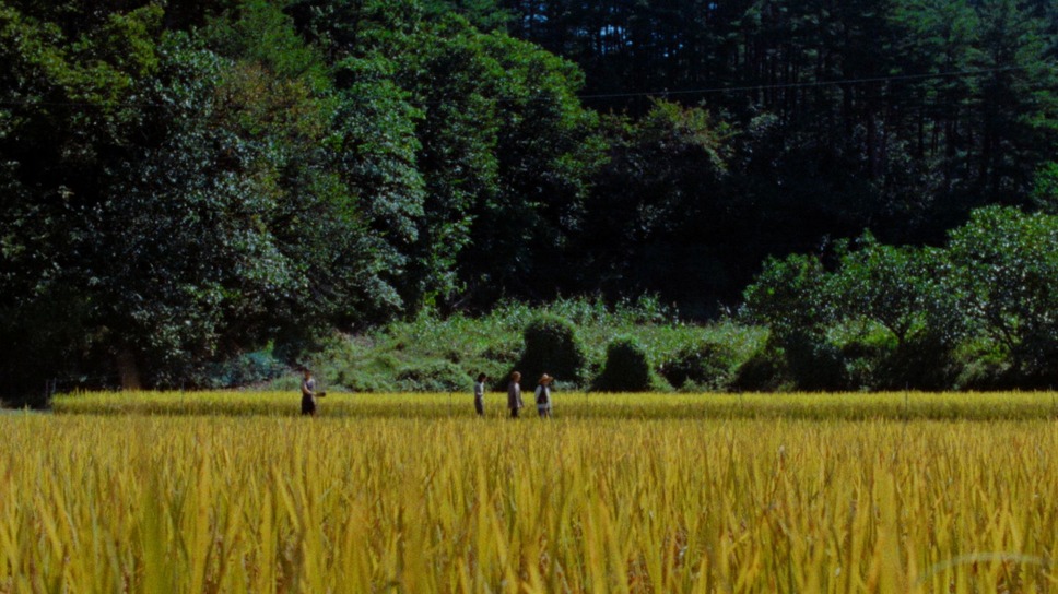 Riceboy ライスボーイ 9枚目の写真・画像