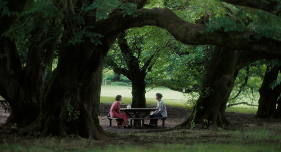 猫を放つ 2枚目の写真・画像