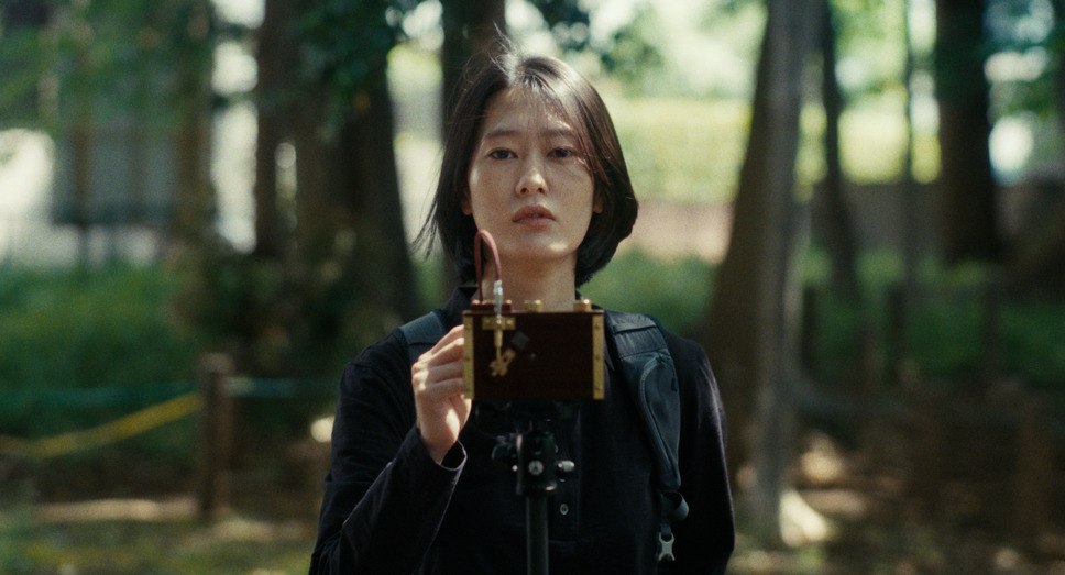 猫を放つ 8枚目の写真・画像