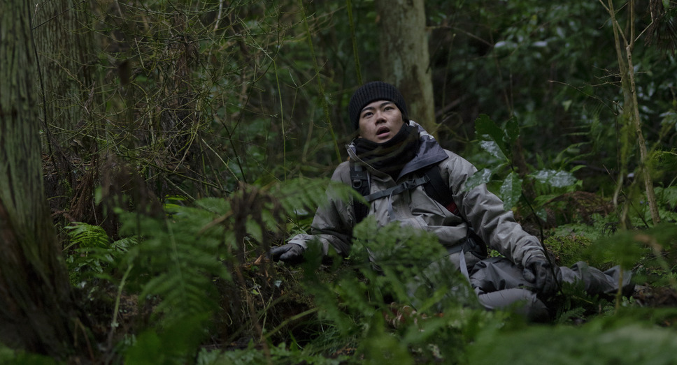 脛擦りの森 6枚目の写真・画像