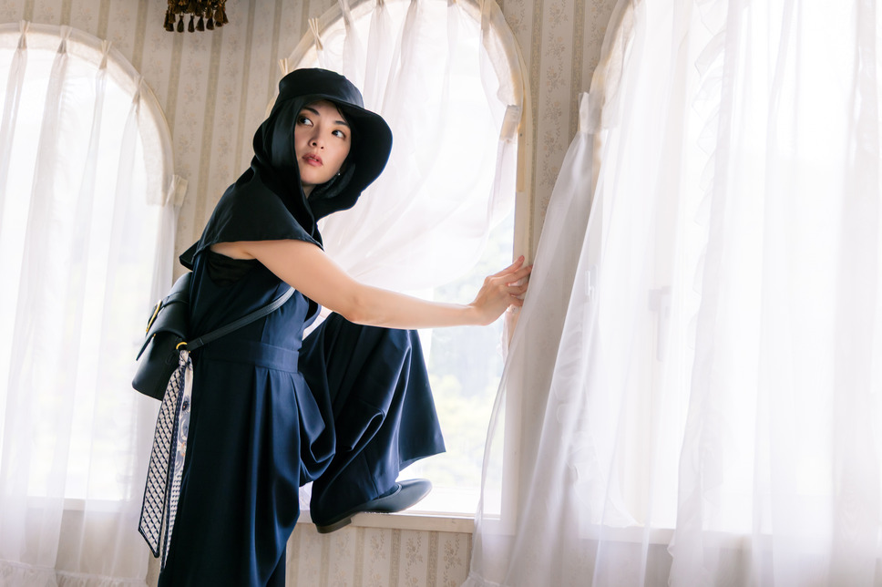 黄金泥棒 3枚目の写真・画像