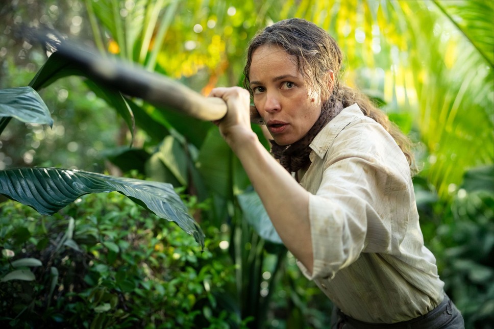 HELP/復讐島 6枚目の写真・画像