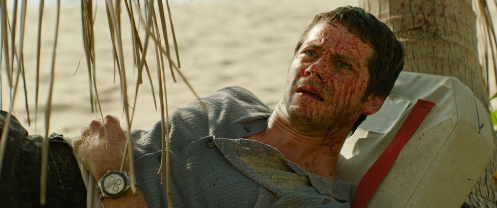 HELP/復讐島 8枚目の写真・画像