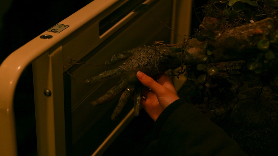 DEAD OR ZOMBIE 11枚目の写真・画像