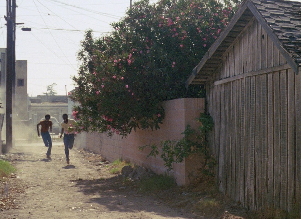 『マイ・ブラザーズ・ウェディング』©1983 Charles Burnett ©2025 Milestone Film & Video for MY BROTHER'S WEDDING