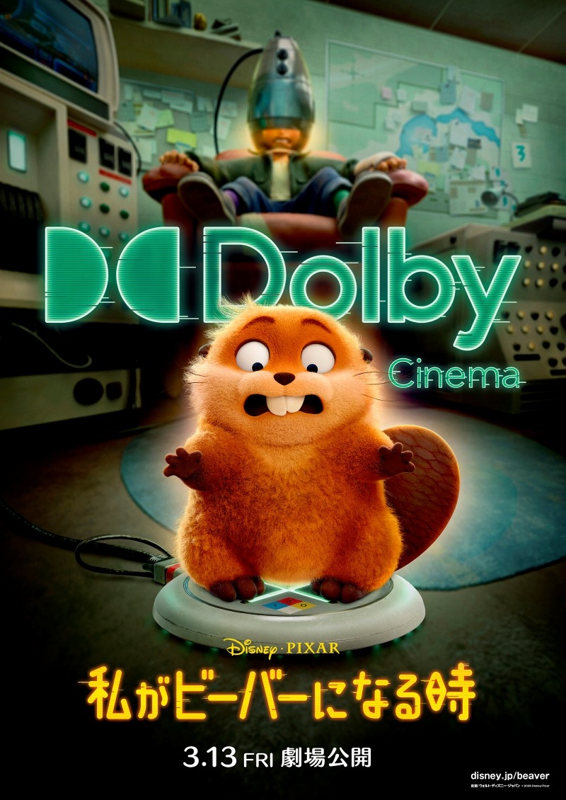 私がビーバーになる時 3枚目の写真・画像