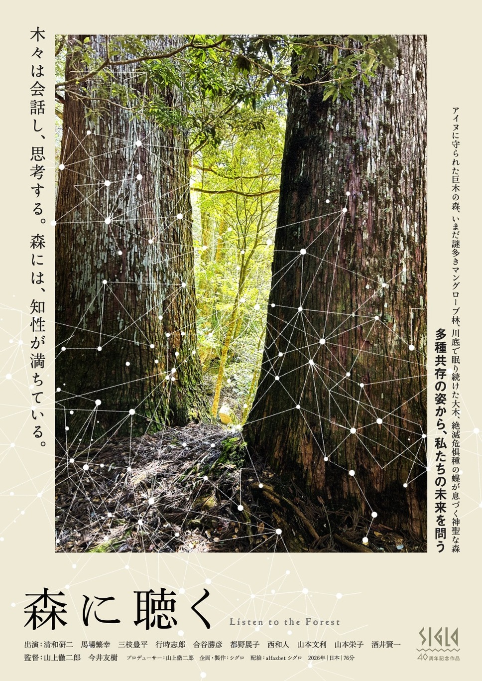 森に聴くListen to the Forest 1枚目の写真・画像