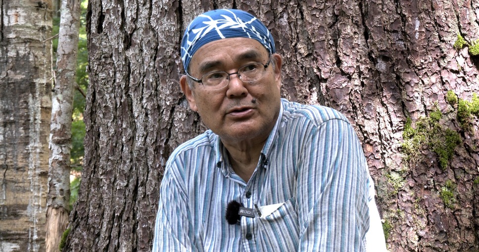 森に聴くListen to the Forest 10枚目の写真・画像