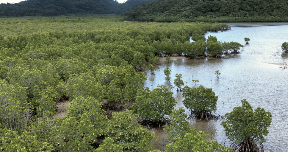 森に聴くListen to the Forest 11枚目の写真・画像