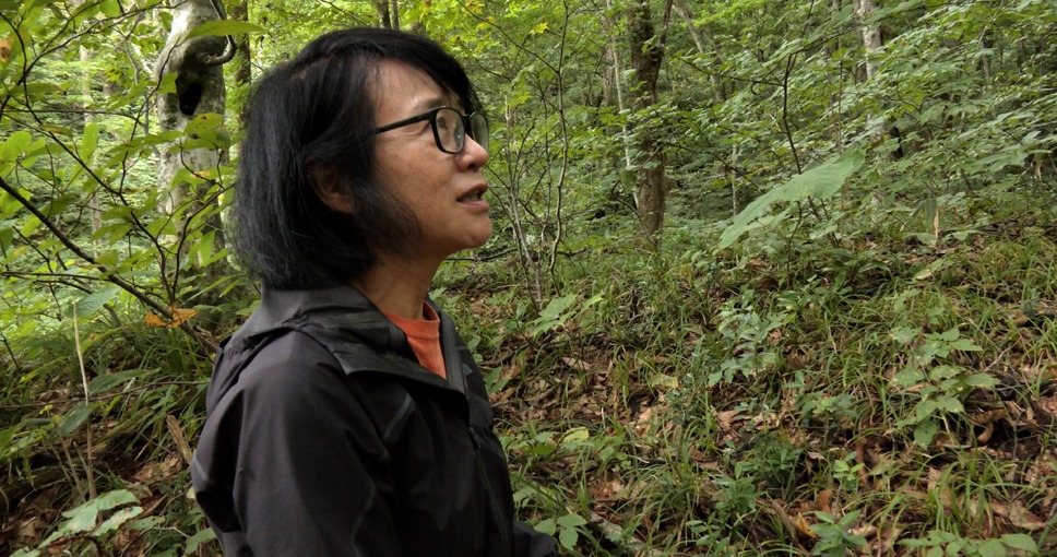 森に聴くListen to the Forest 14枚目の写真・画像