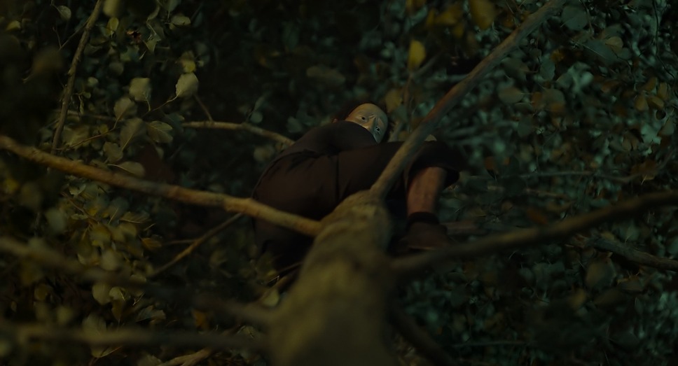 『ザ・フォール THE FALL』©BBCFilms & AcademyFilms