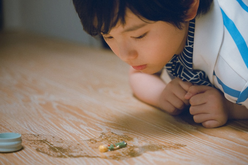 箱の中の羊 4枚目の写真・画像