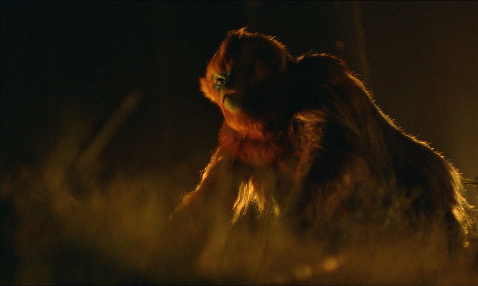 OCHI！ -オチ- 8枚目の写真・画像