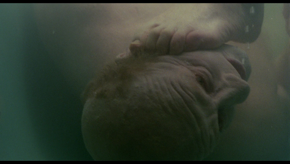 悪夢の系譜【4Kデジタル修復版】 4枚目の写真・画像