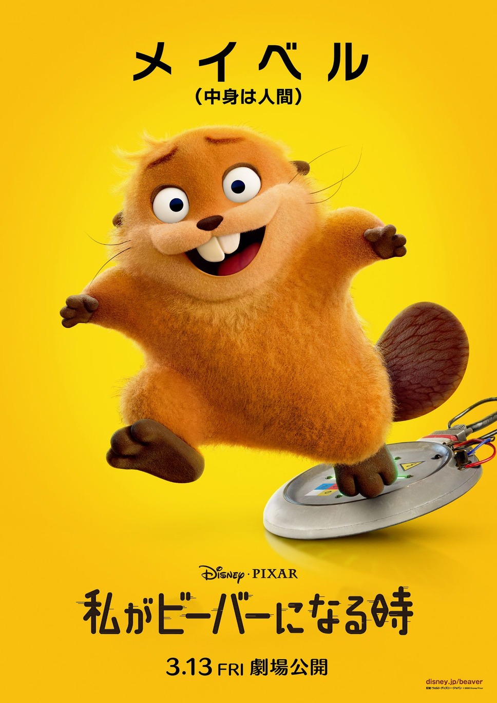 私がビーバーになる時 6枚目の写真・画像