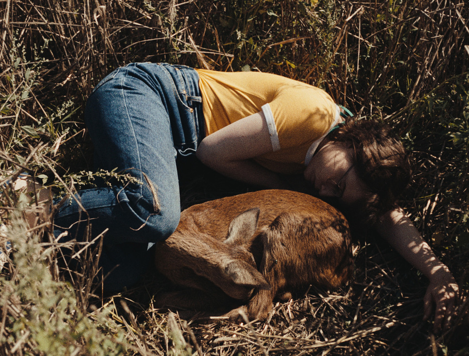 落下音 7枚目の写真・画像