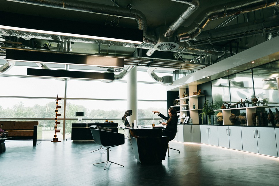 ブゴニア 16枚目の写真・画像