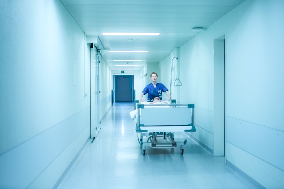 ナースコール（2026） 17枚目の写真・画像