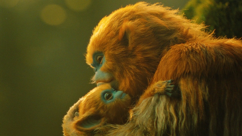 OCHI！ -オチ- 10枚目の写真・画像