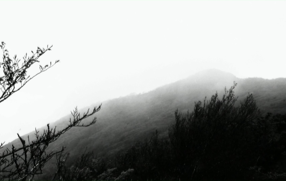 悲しくて美しい世界／THIS IS SPARKLEHORSE 14枚目の写真・画像