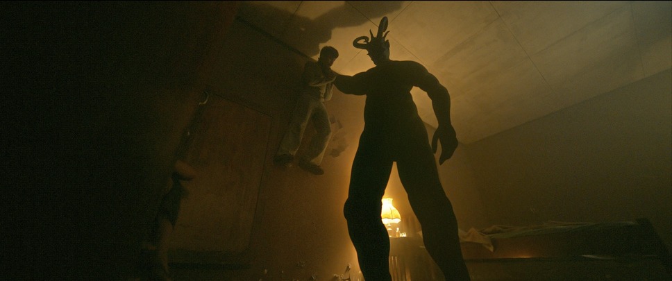 サトウキビは知っている 5枚目の写真・画像