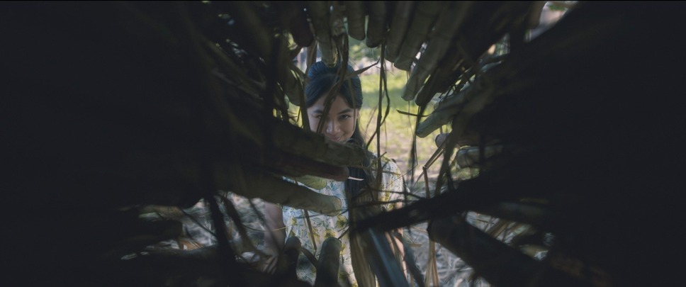 サトウキビは知っている 7枚目の写真・画像