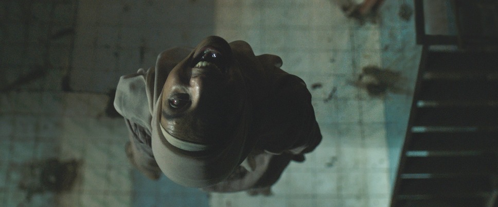 サトウキビは知っている 10枚目の写真・画像