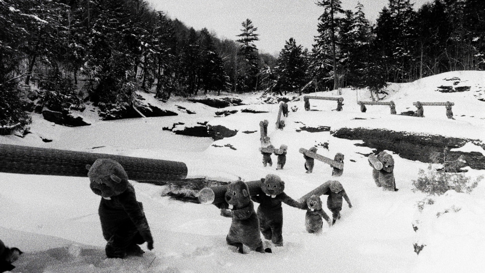 FEVER ビーバー！ 9枚目の写真・画像