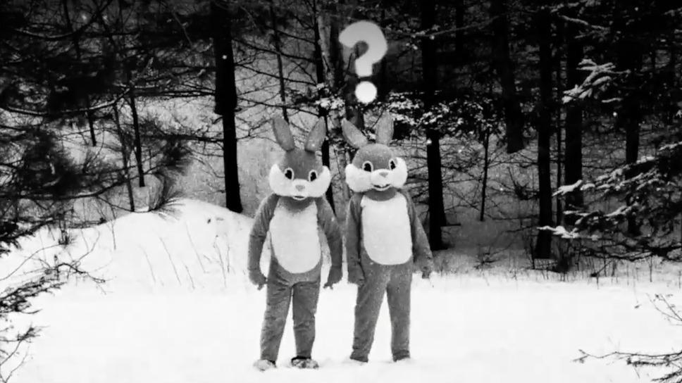 FEVER ビーバー！ 12枚目の写真・画像