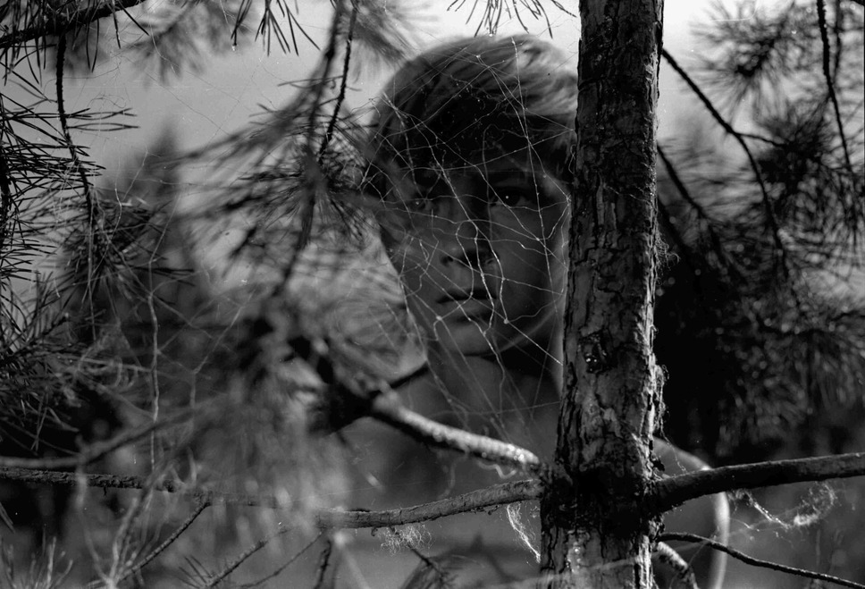 『僕の村は戦場だった』