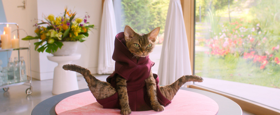 ギャビーのドールハウス ザ・ムービー 31枚目の写真・画像