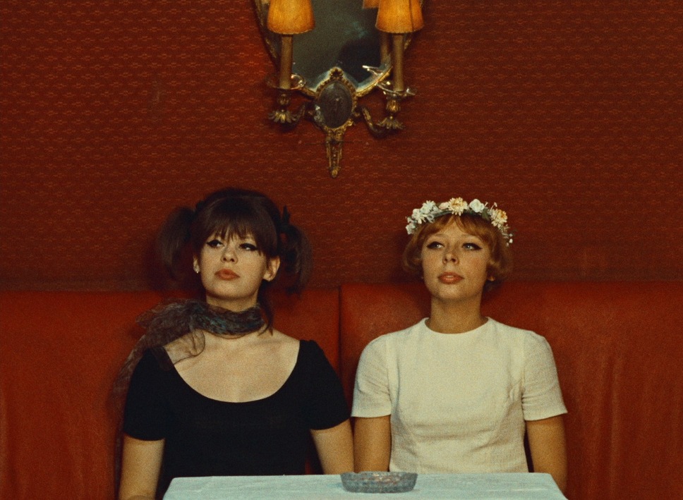 ひなぎく 4Kレストア版 20枚目の写真・画像