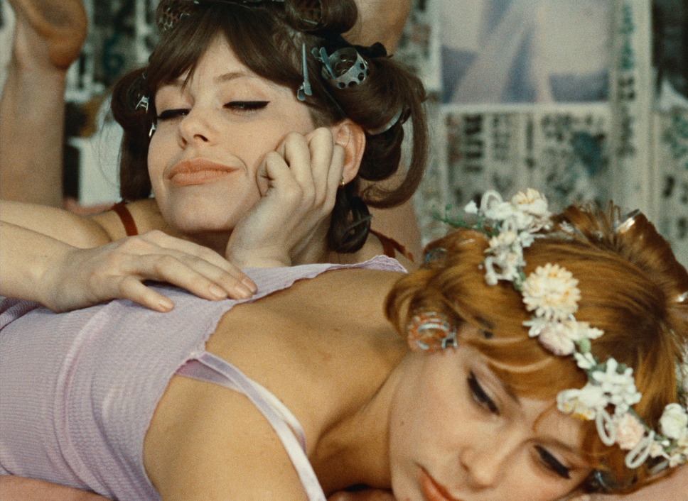 ひなぎく 4Kレストア版 21枚目の写真・画像