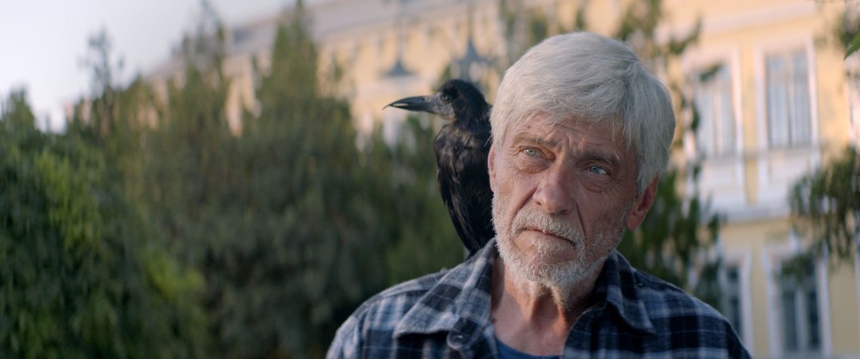 『罠 ドナウ川の守り人』