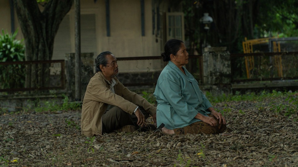 サトウキビは知っている 15枚目の写真・画像