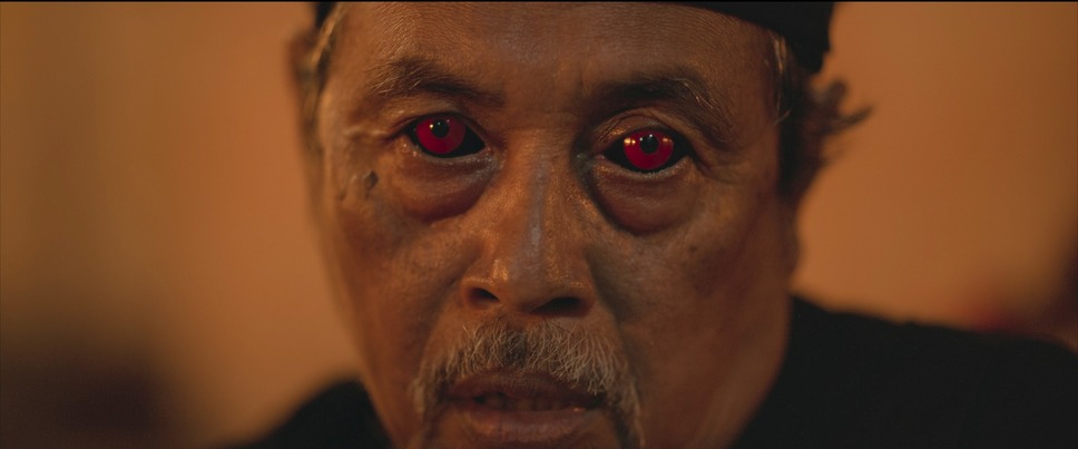 サトウキビは知っている 14枚目の写真・画像