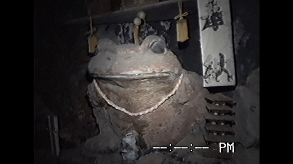 沢田美由紀のガマランドにお邪魔します 11枚目の写真・画像