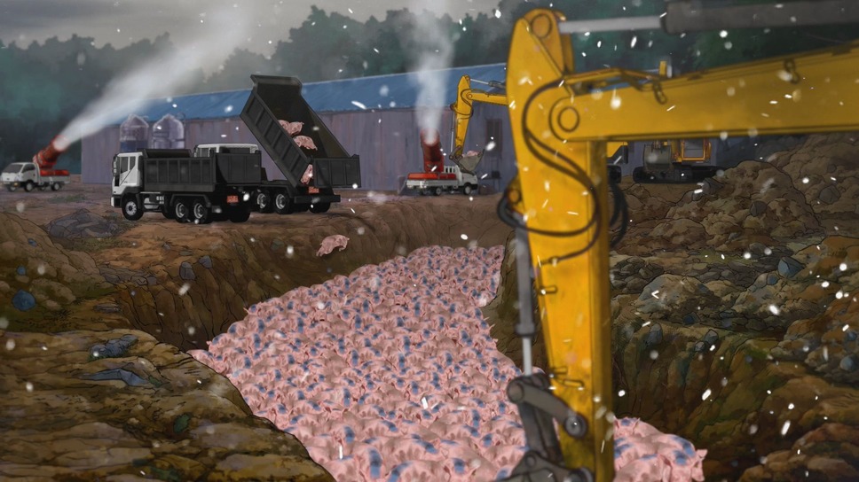 口蹄疫から生きのびた豚 4枚目の写真・画像