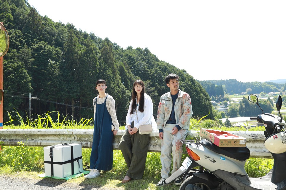 トランジット・イン・フラミンゴ 2枚目の写真・画像