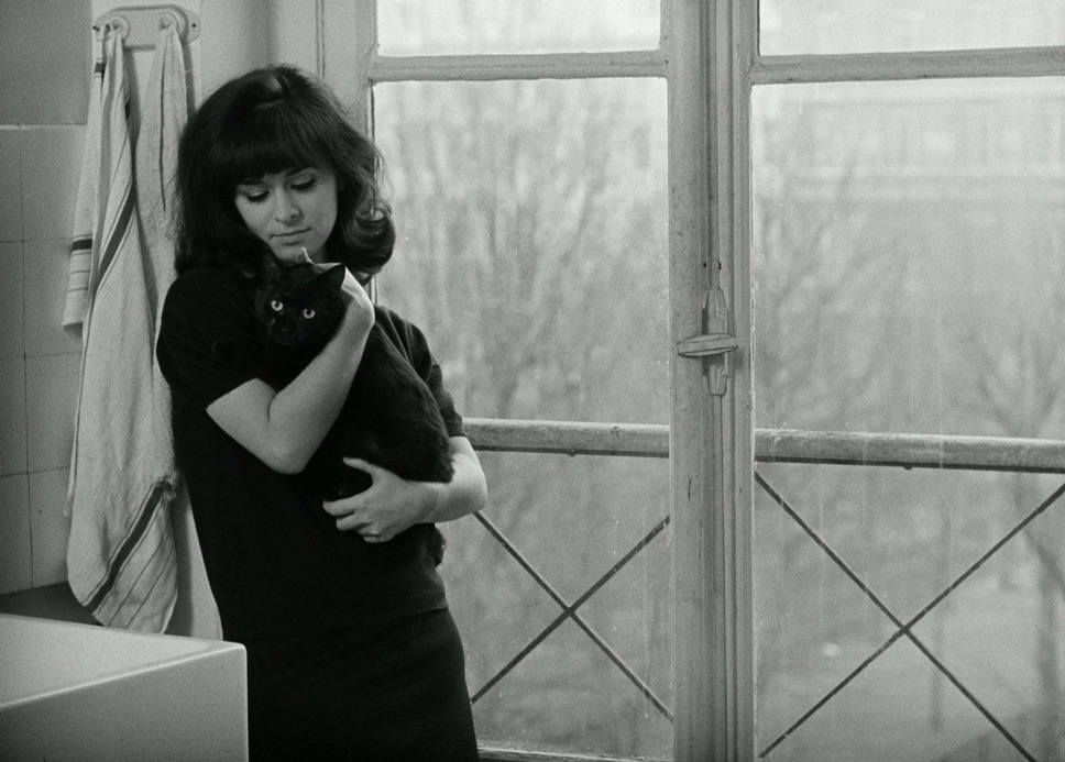 海辺の恋 14枚目の写真・画像