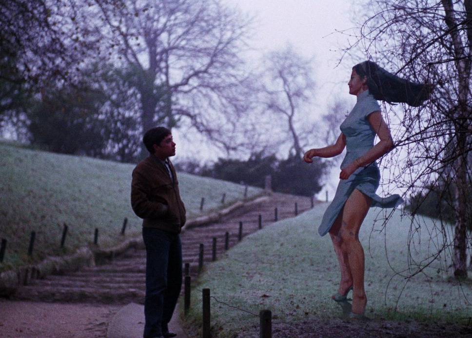 海辺の恋 16枚目の写真・画像