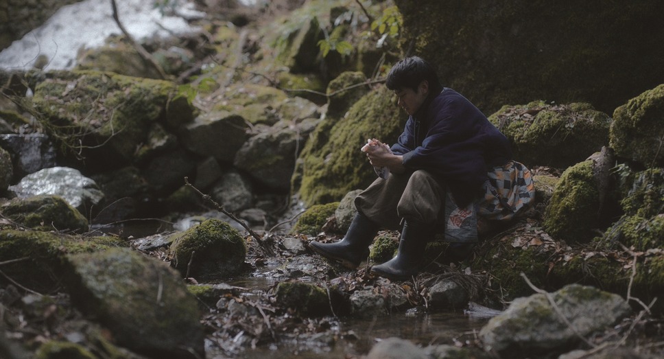 脛擦りの森 14枚目の写真・画像